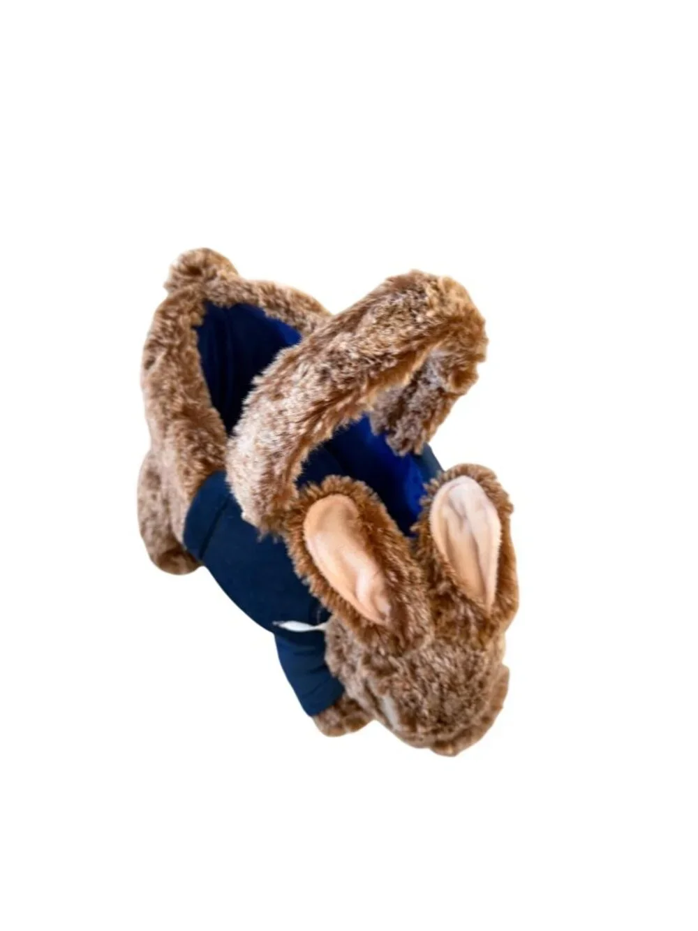 DAN DEE Limited Edition Peter Rabbit Easter Candy Basket